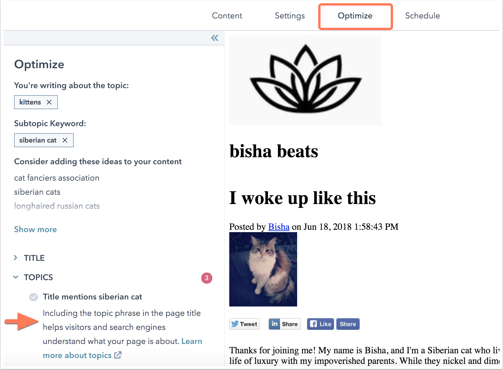 open-seo-recommendations-within-the-editor